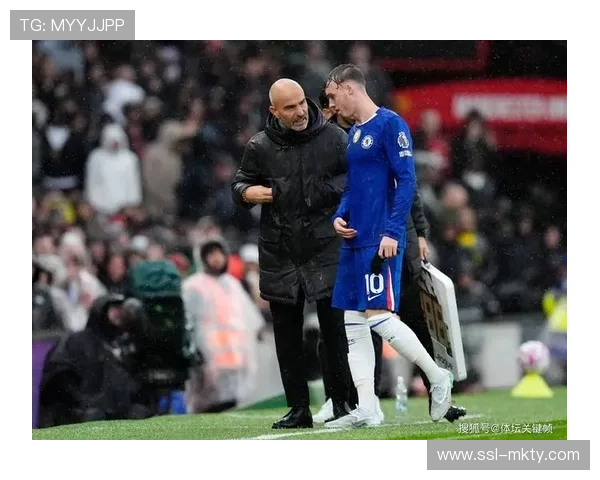 切尔西球员帕尔默伤愈复出，对阵利兹联替补登场